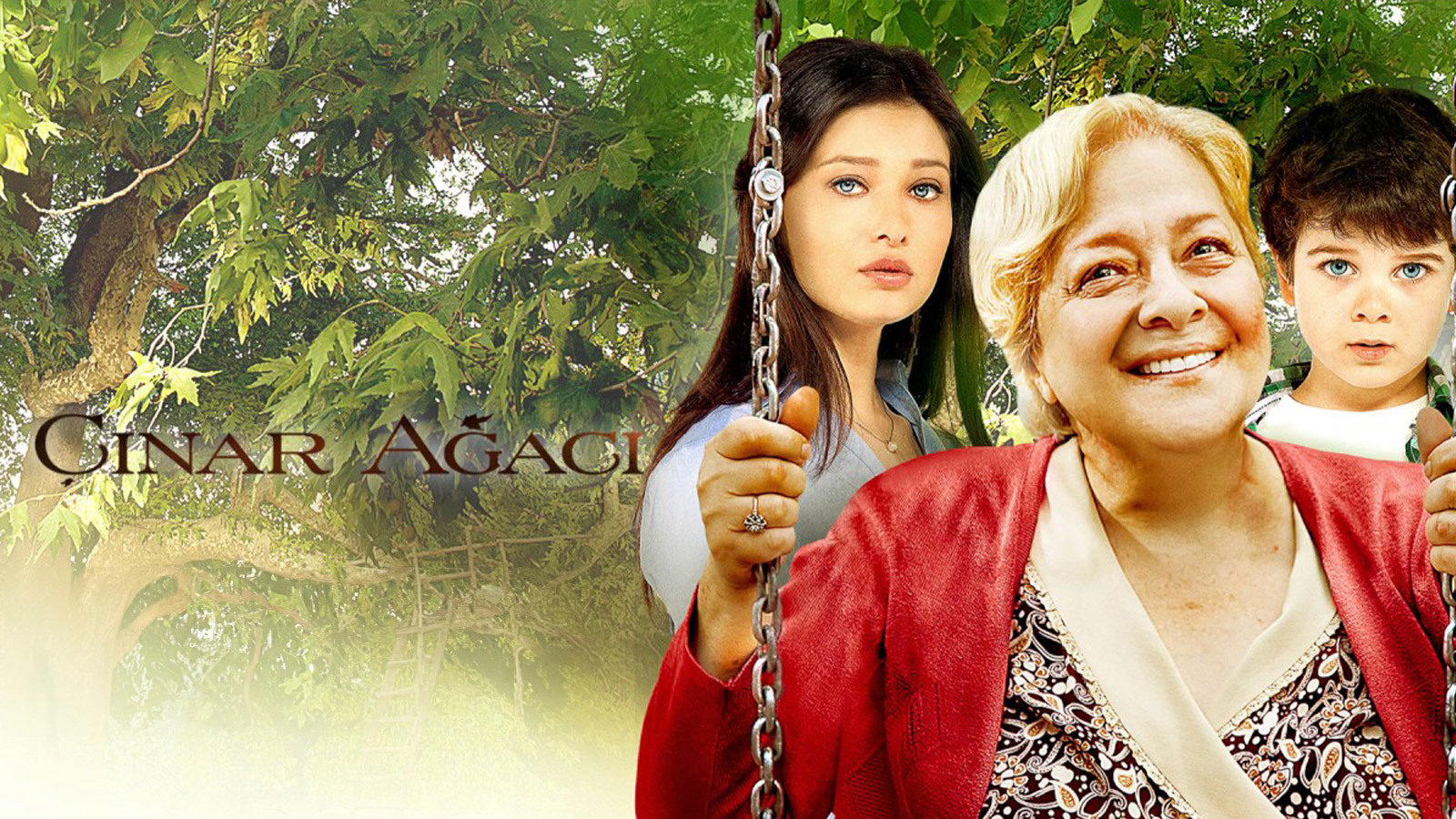 Çınar Ağacı