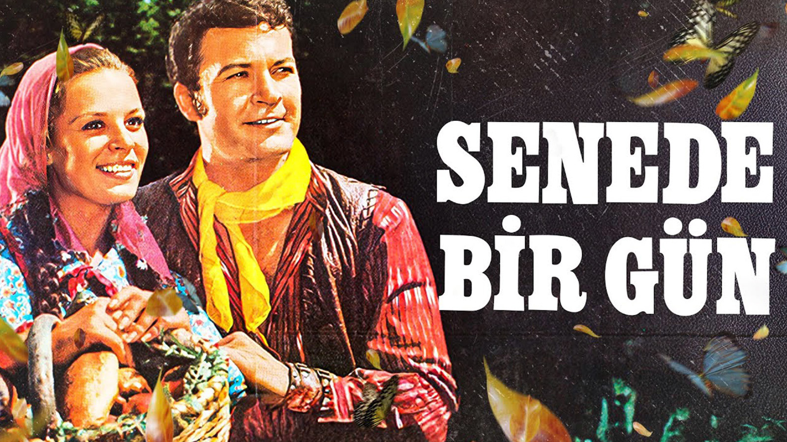 Senede Bir Gün
