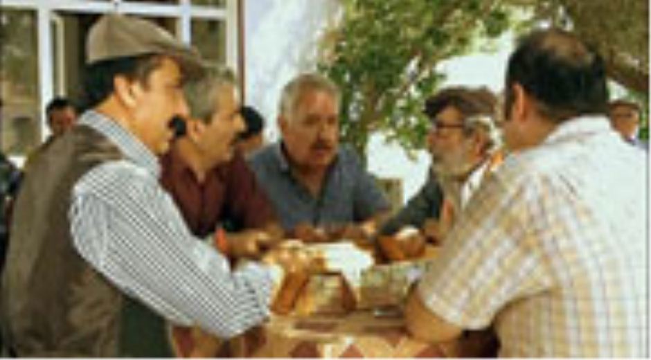 Kahvedekilerin hepsi uyuya kalıyor!