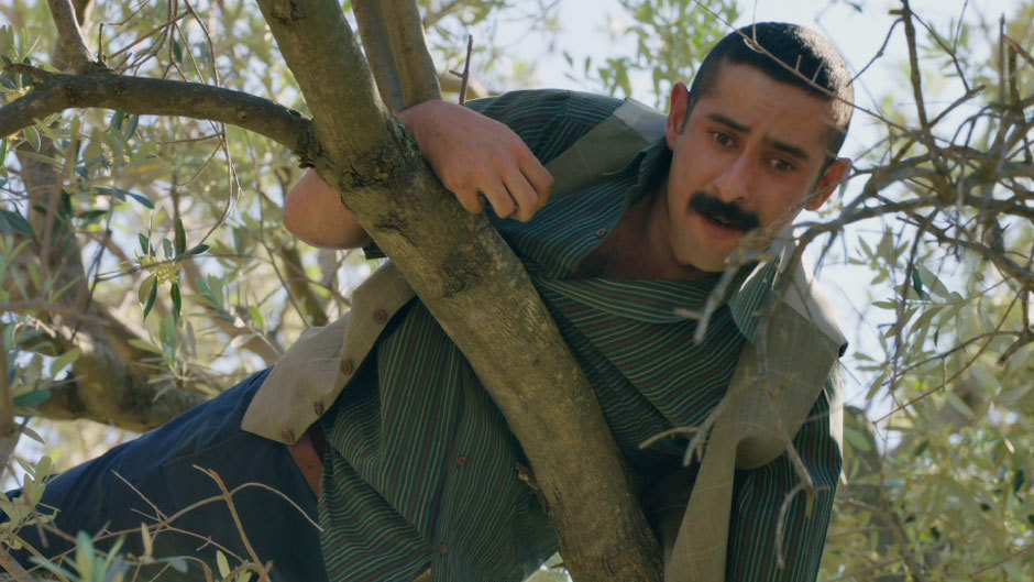 Erol'un zeytin ağacının tepesinde ne işi var?