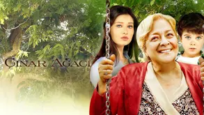 Çınar Ağacı