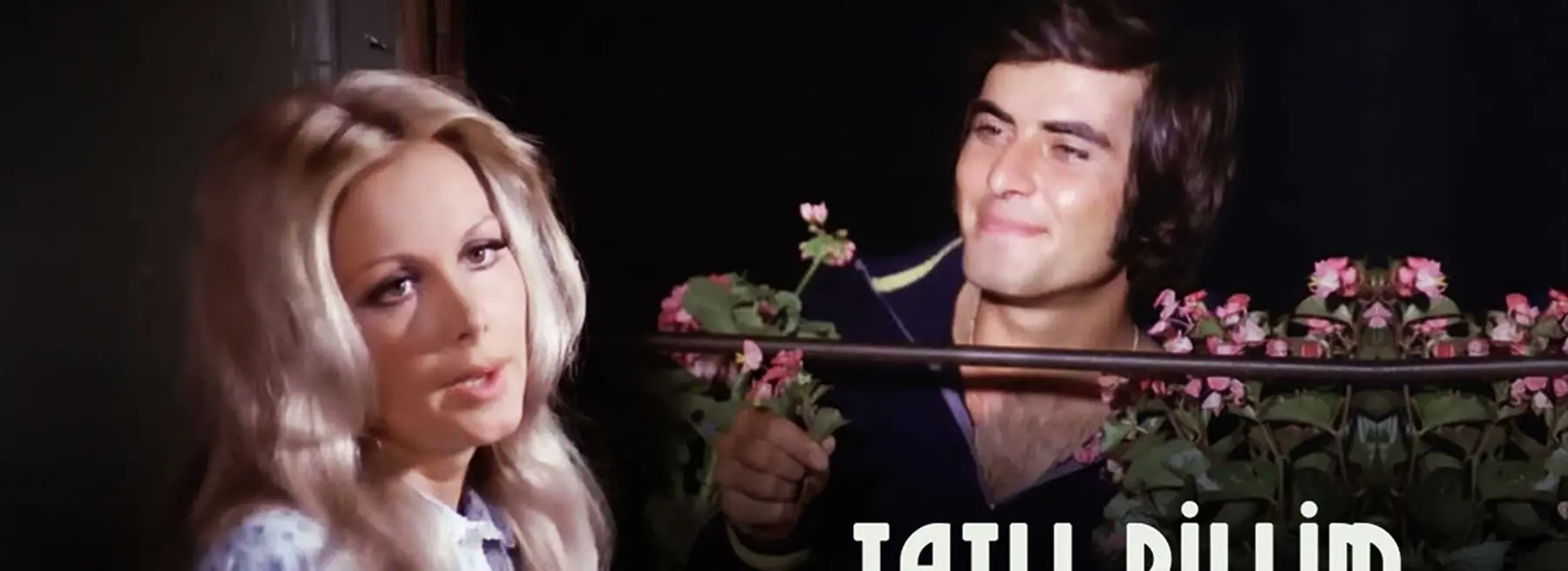 Tatlı Dillim